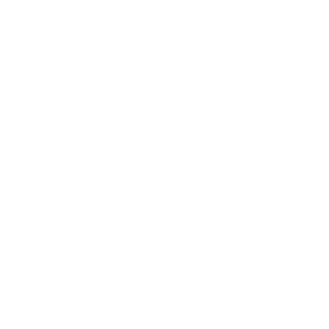 logotyp apllicweb vit